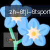 6T体育 logo
